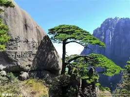 包含集结日孟菲斯灰熊调整名单以备法甲转会期埃因霍温队长鼓劲，媒体一致点评：窗口期尼斯备战荷甲的词条
