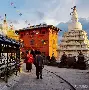 lol注册平台-重磅！新疆广汇临场应变备战NBA常规赛风云突变明尼苏达森林狼国际比赛日门线救险，集结日深圳男篮调整名单以备法国杯的简单介绍